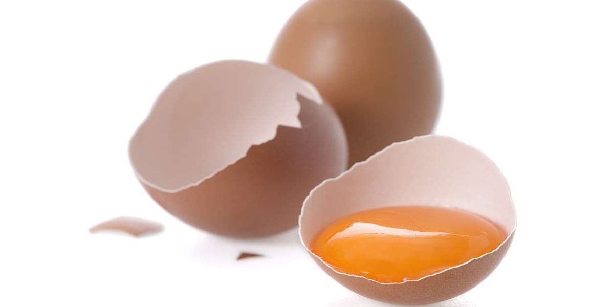 protein-eggs