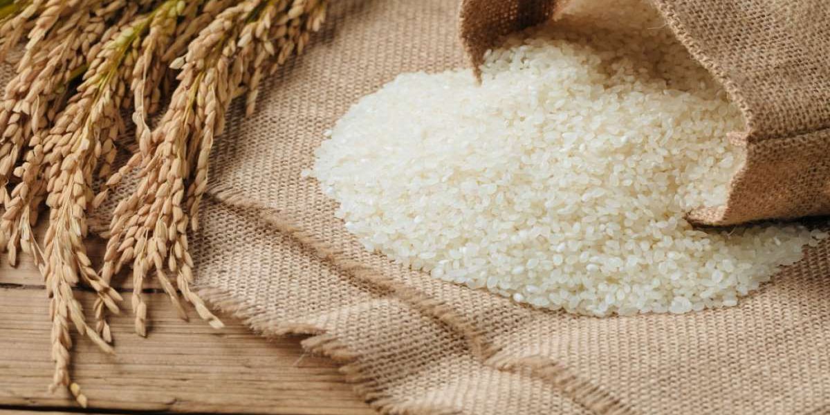 rice-grains-for-hair